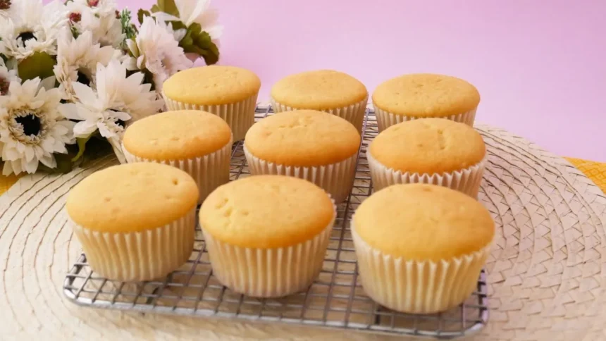 cupcake-basica